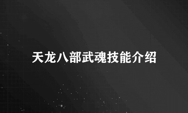 天龙八部武魂技能介绍