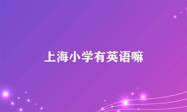 上海小学有英语嘛