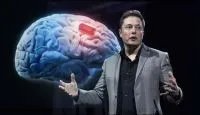 马斯克用活猪演示脑机技术,以后用到人身上有何用途?