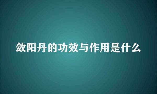 敛阳丹的功效与作用是什么