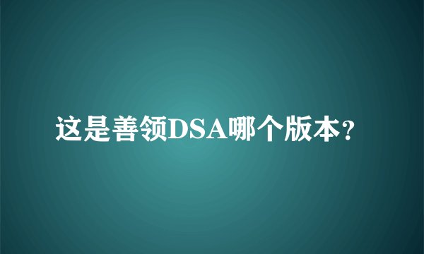 这是善领DSA哪个版本？