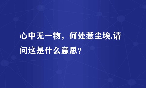 心中无一物，何处惹尘埃.请问这是什么意思？