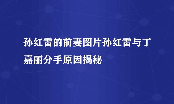 孙红雷的前妻图片孙红雷与丁嘉丽分手原因揭秘