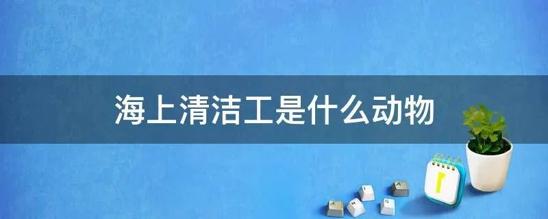 海上清洁工是什么动物