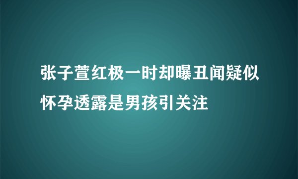 张子萱红极一时却曝丑闻疑似怀孕透露是男孩引关注