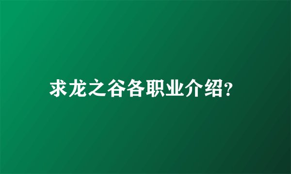 求龙之谷各职业介绍？