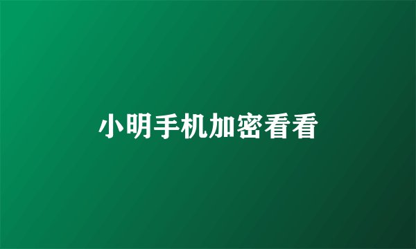小明手机加密看看