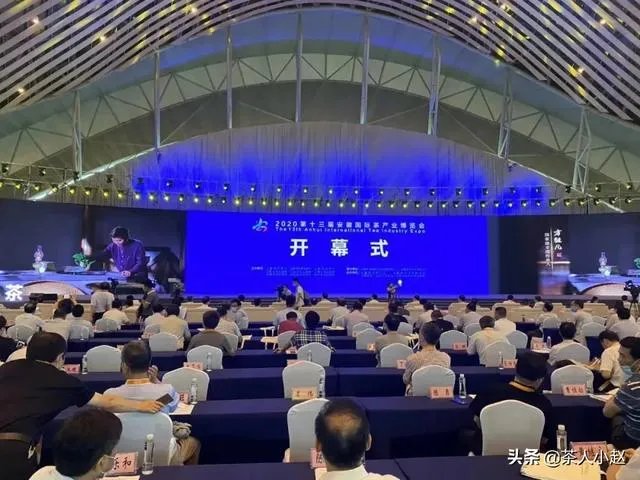 安徽10大名茶占了4个,为何没有安徽茶叶博览会?你怎么看?