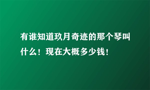 有谁知道玖月奇迹的那个琴叫什么！现在大概多少钱！