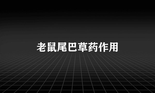 老鼠尾巴草药作用