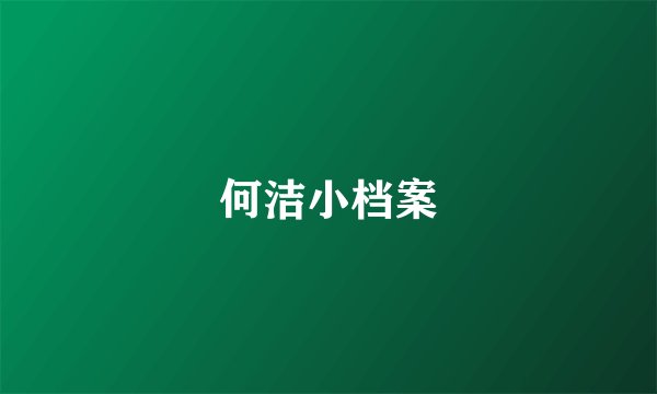 何洁小档案