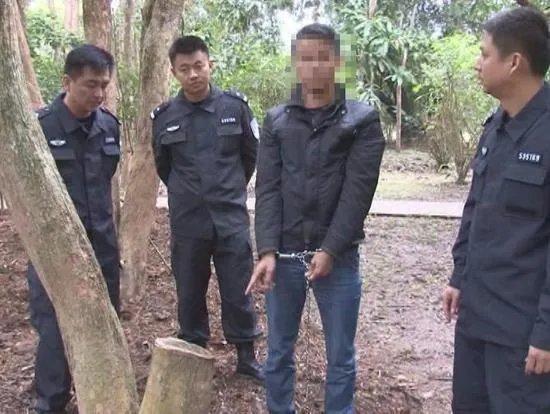 3名男子盗窃中科院黄花梨树被抓后如何判刑?