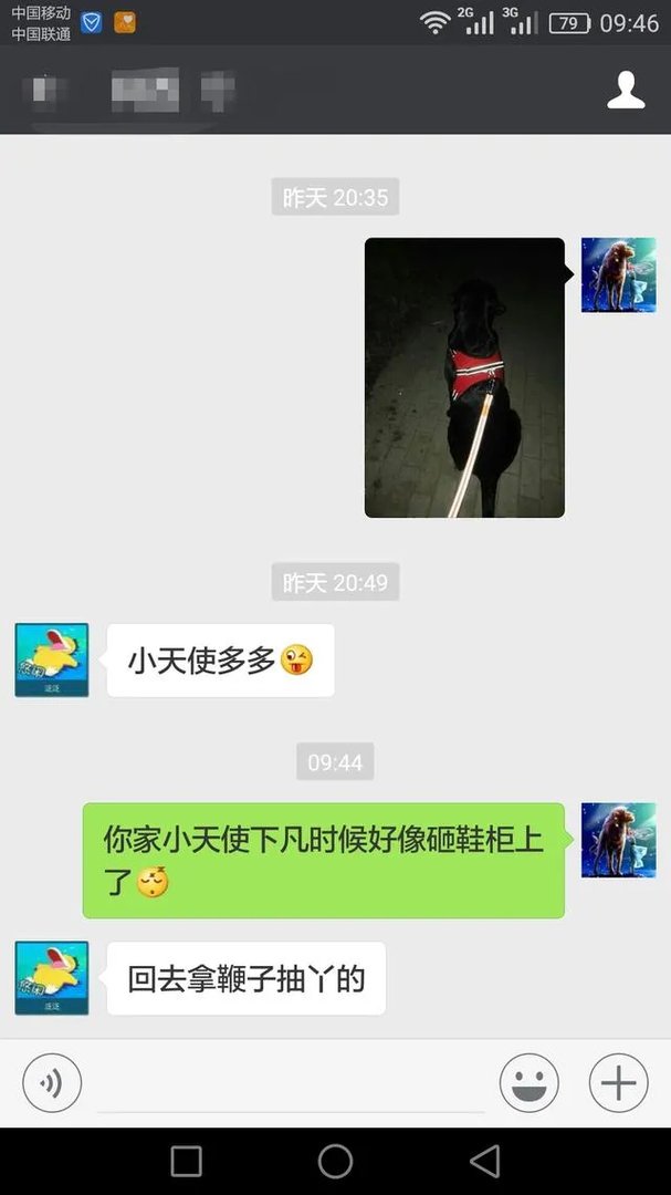 当你的猫或者狗狗去世之后,你还会再养吗?