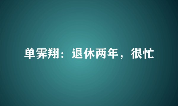 单霁翔：退休两年，很忙