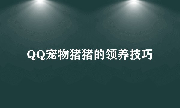 QQ宠物猪猪的领养技巧