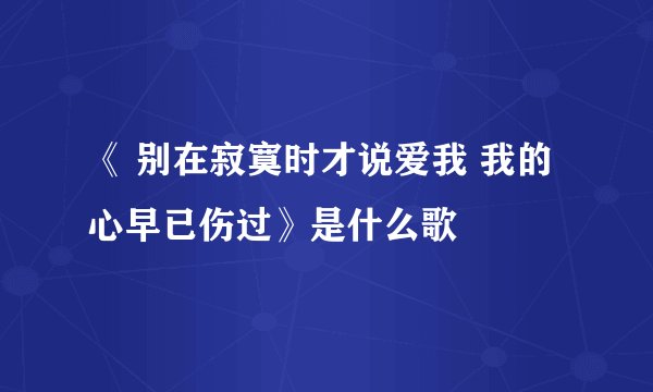 《 别在寂寞时才说爱我 我的心早已伤过》是什么歌