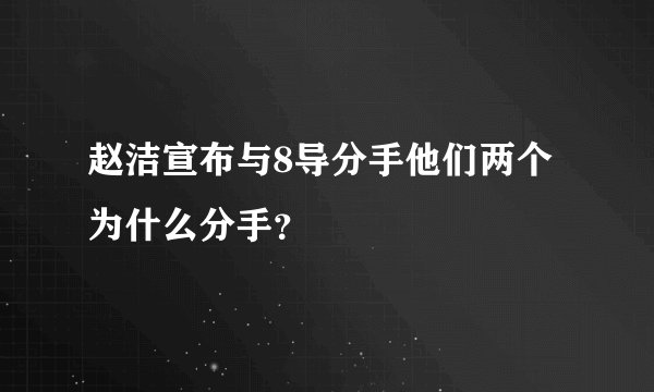 赵洁宣布与8导分手他们两个为什么分手？
