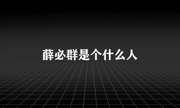 薛必群是个什么人