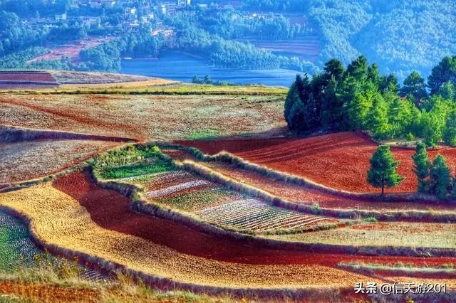 过年去云南旅游，合适吗？