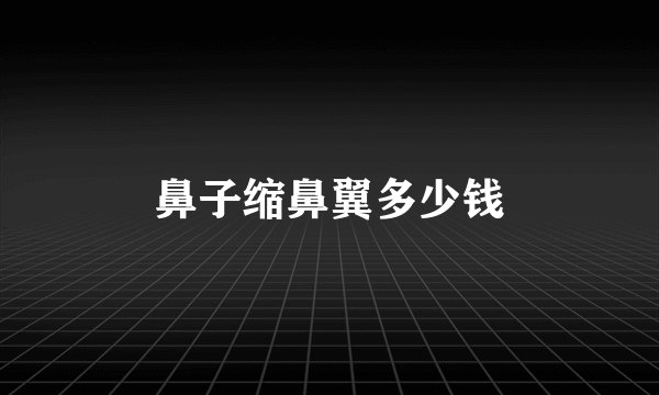 鼻子缩鼻翼多少钱