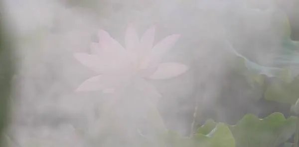 雾里看花终隔一层是什么意思