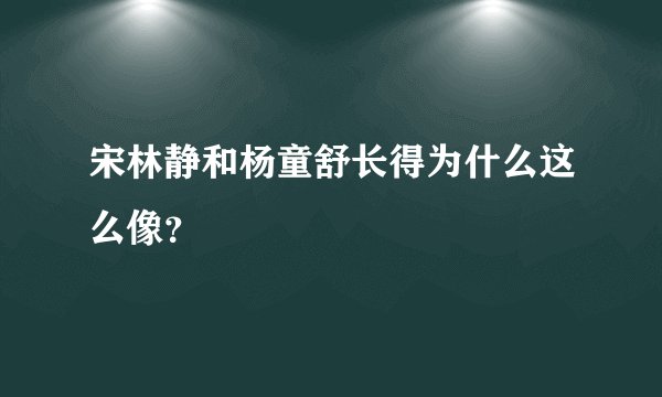 宋林静和杨童舒长得为什么这么像？
