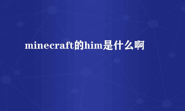 minecraft的him是什么啊