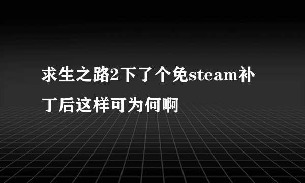 求生之路2下了个免steam补丁后这样可为何啊
