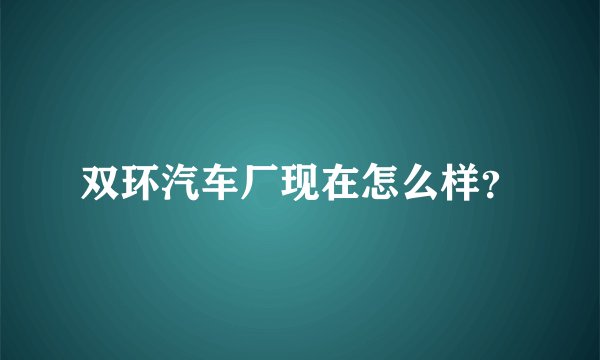 双环汽车厂现在怎么样？