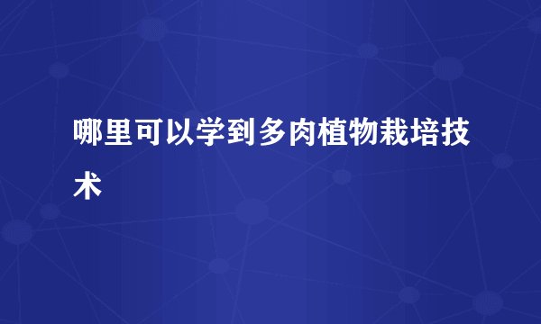 哪里可以学到多肉植物栽培技术