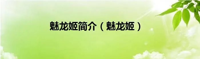 魅龙姬简介（魅龙姬）