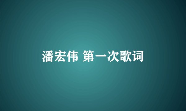 潘宏伟 第一次歌词