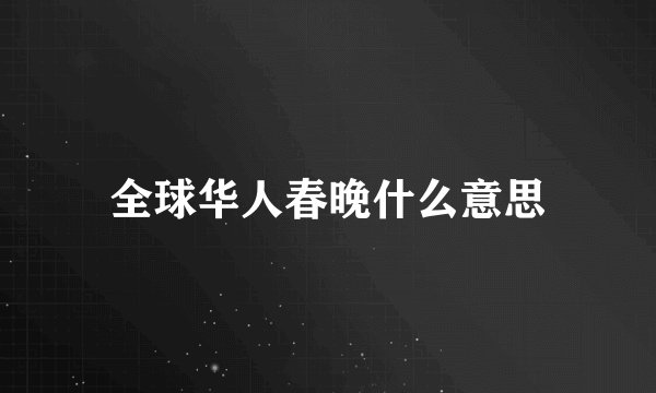 全球华人春晚什么意思