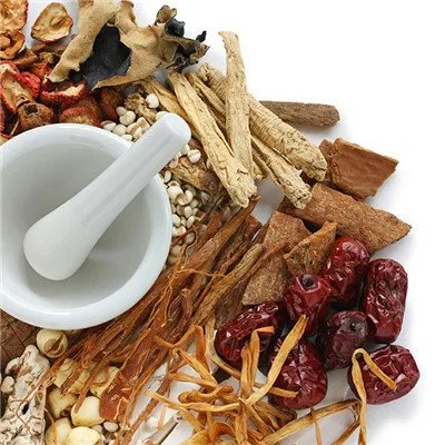 毛冬青叶的功效与作用及禁忌?