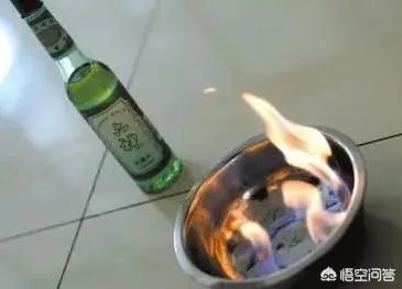 你见过哪些熊孩子“作死”的行为?