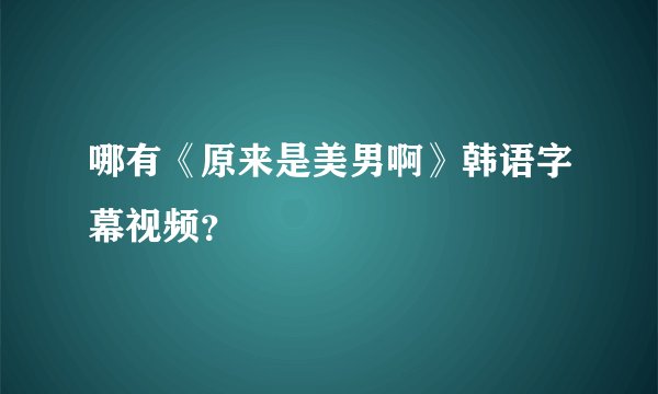 哪有《原来是美男啊》韩语字幕视频？
