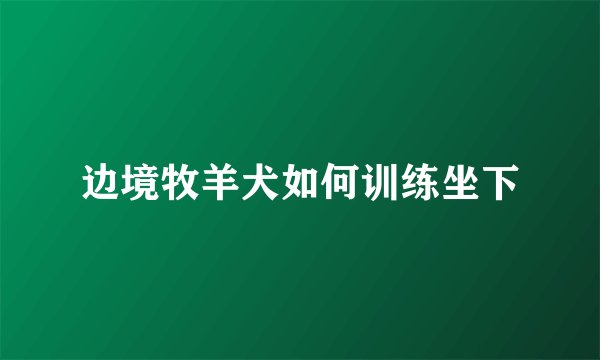 边境牧羊犬如何训练坐下