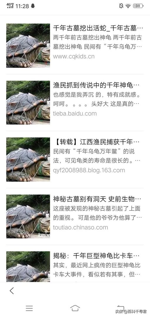 1965年黄河巨鳖事件是不是真实的?有何依据?