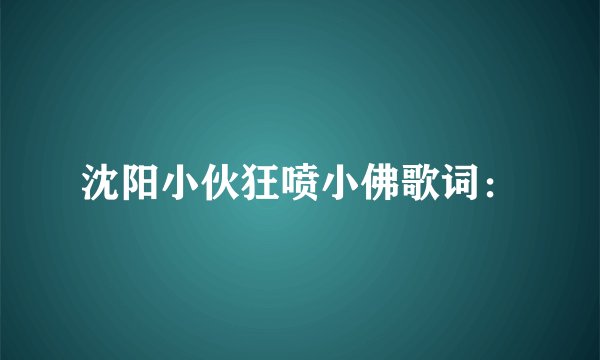 沈阳小伙狂喷小佛歌词：