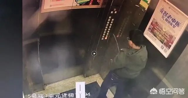 对于熊孩子冲电梯按键撒尿，致故障被困，你怎么看？