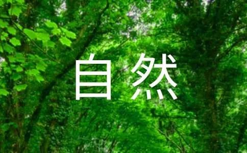我是大自然中的一员六年级作文