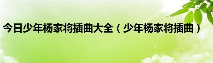 今日少年杨家将插曲大全（少年杨家将插曲）