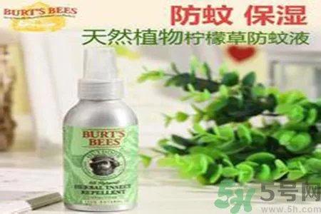 驱蚊液可以驱苍蝇吗？驱蚊液可以驱走什么虫子？