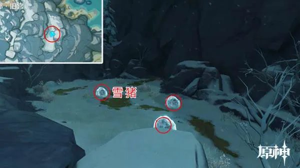 原神四方八方之网可捕捉动物在哪