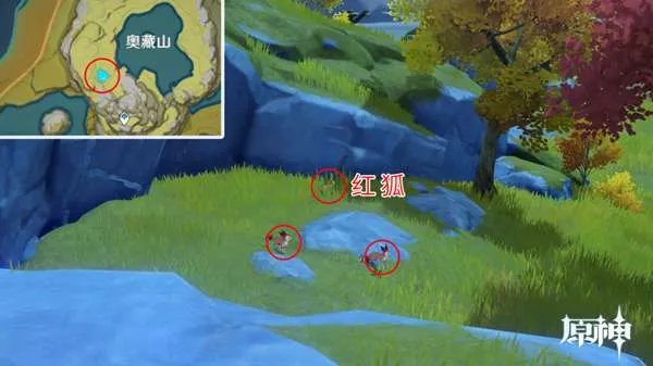 原神四方八方之网可捕捉动物在哪