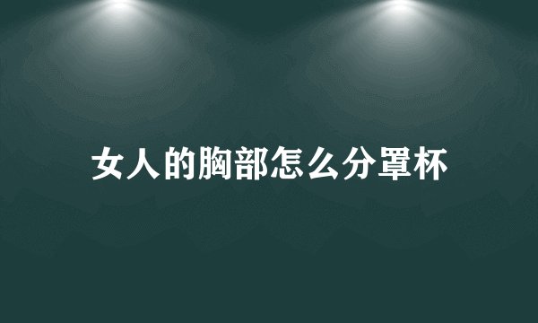 女人的胸部怎么分罩杯