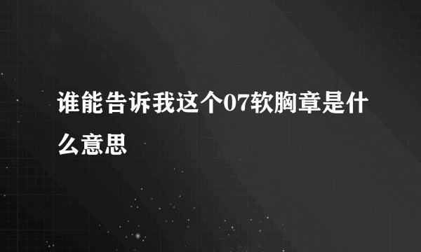 谁能告诉我这个07软胸章是什么意思