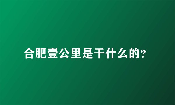 合肥壹公里是干什么的？