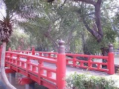 日拍