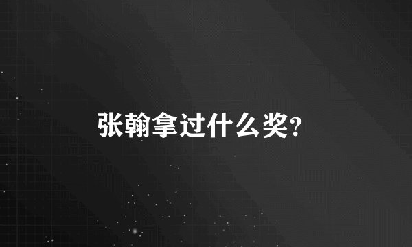 张翰拿过什么奖？